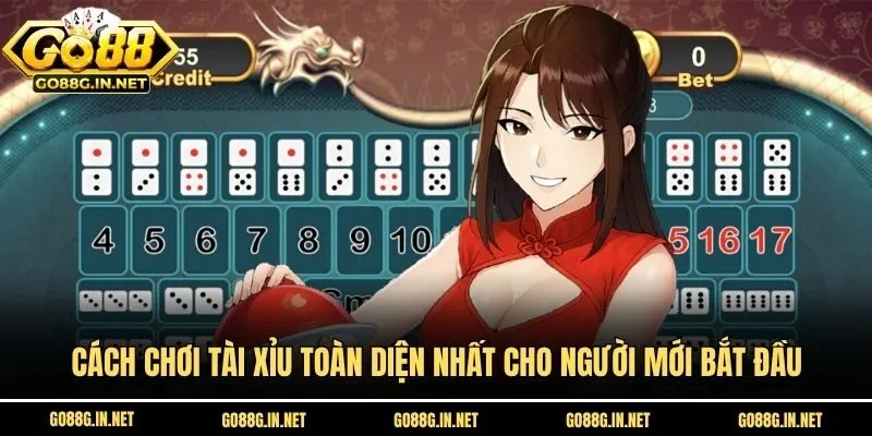 Cách Chơi Tài Xỉu Toàn Diện Nhất Cho Người Mới Bắt Đầu
