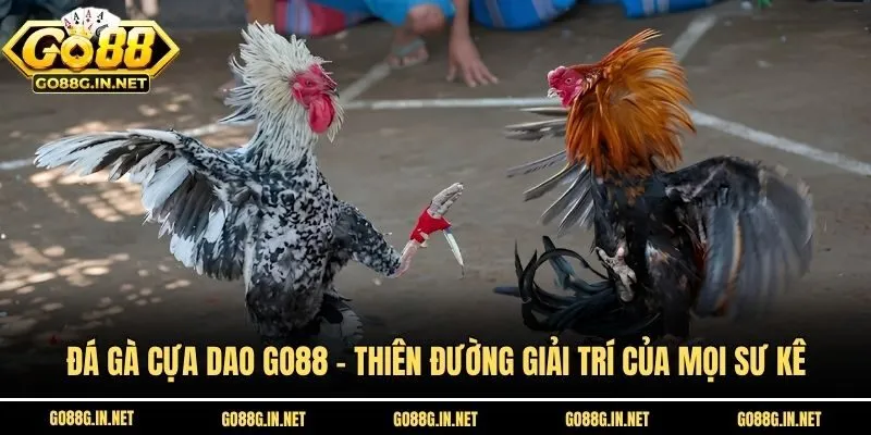 Đá Gà Cựa Dao Go88 - Thiên Đường Giải Trí Của Mọi Sư Kê