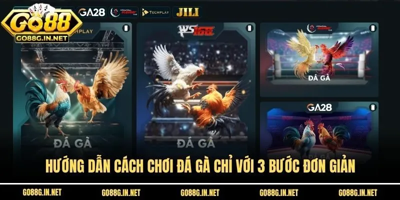 Hướng dẫn cách chơi đá gà chỉ với 3 bước đơn giản